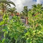 Oasis Royal